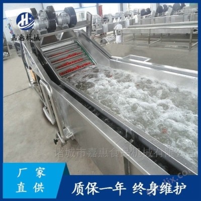 全自动连续式清洗机 净菜加工设备