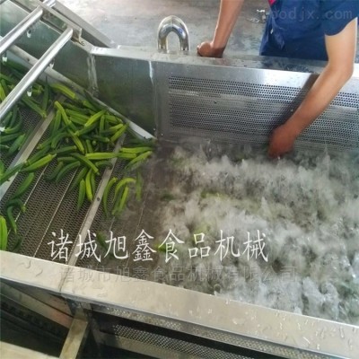 果蔬加工漂烫设备生产线