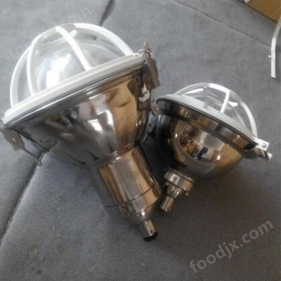 石油化工专业吊顶灯