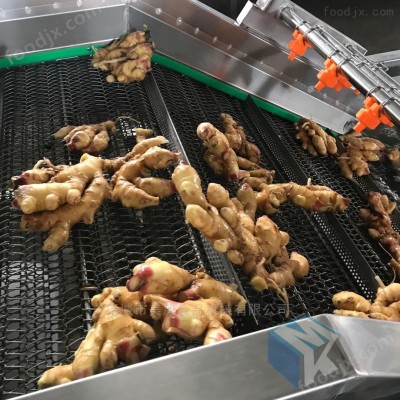 大姜气泡清洗机深加工设备图1
