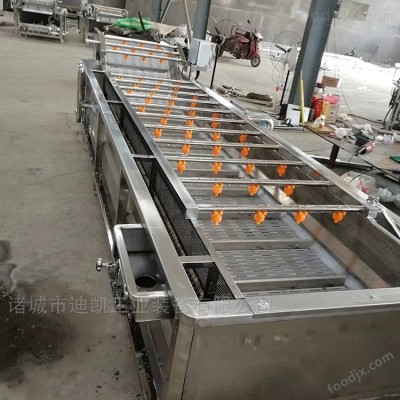 石榴清洗风干榨汁流水线设备 果蔬加工成套设备