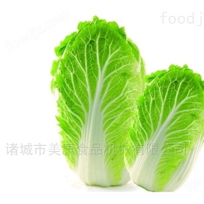 白菜清洗机-净菜加工设备图1