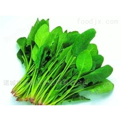 菠菜清洗机-清洗设备价格