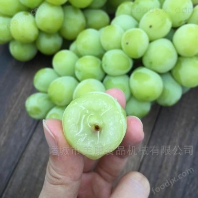 百香果清洗机-清洗设备生产厂家图1