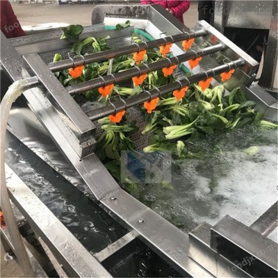 小根蒜气泡清洗机-蔬菜清洗设备价格