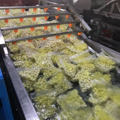 多功能苹果气泡清洗机 高压喷淋设备定制