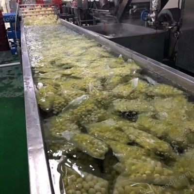 大型竹笋气泡清洗机 笋加工设备