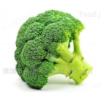 净菜加工设备-洗西红柿的设备