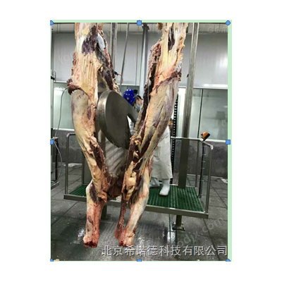 牛屠宰线升降台
