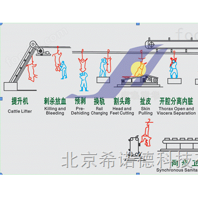 牛羊流水线拴牛桩