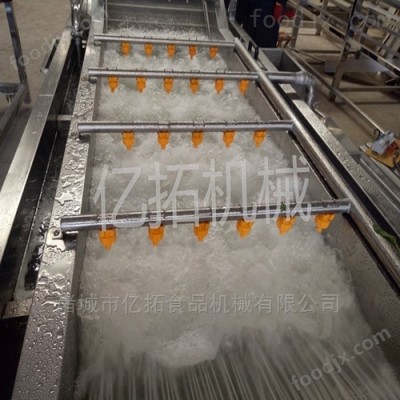 腌制姜片气泡脱盐清洗机1