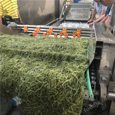 达州大姜清洗机 气泡清洗流水线生产厂家 食品清洗设备