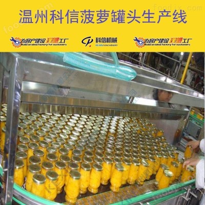2025全自动菠萝罐头生产线 厂家可定制