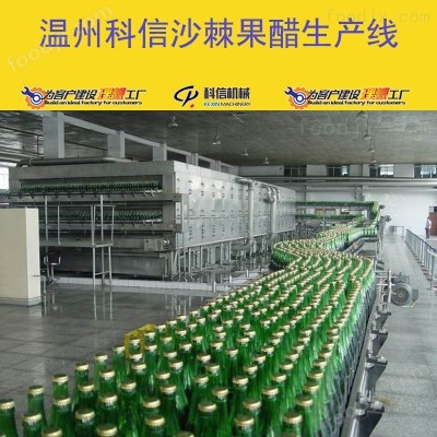 全自动沙棘果醋饮料生产设备 厂家可定制