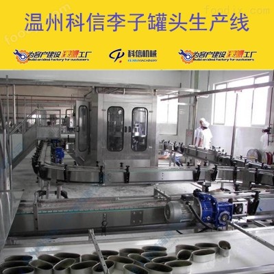 2025全自动李子罐头生产设备 厂家可定制