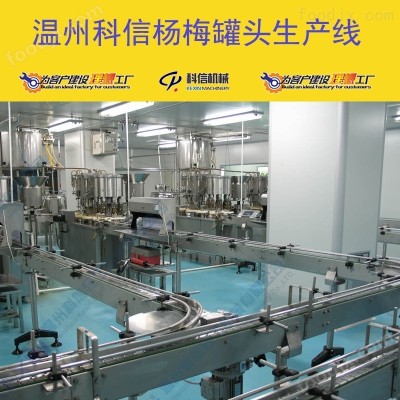 2025全自动杨梅罐头生产设备 厂家可定制