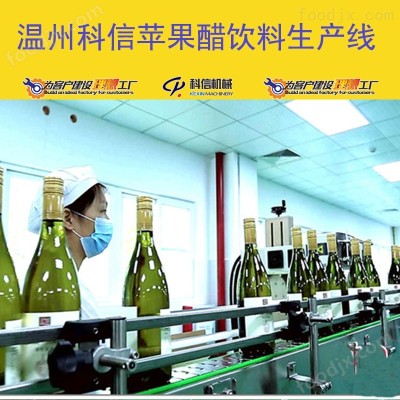 全自动苹果醋饮料生产设备 厂家可定制
