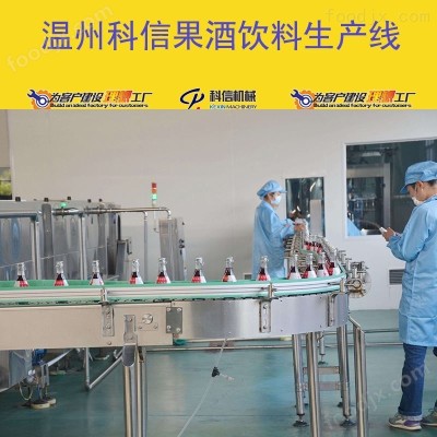 全自动果酒饮料生产设备 厂家可定制