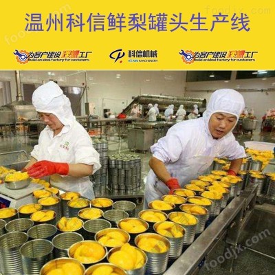 2025全自动梨罐头生产设备 厂家可定制