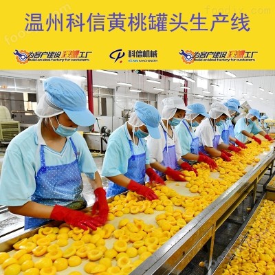 2025全自动黄桃罐头生产线 厂家可定制