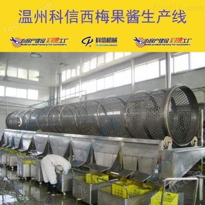 2025全自动西梅果酱生产线 厂家可定制