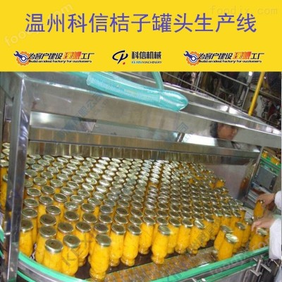 2025全自动桔子罐头生产设备 厂家可定制