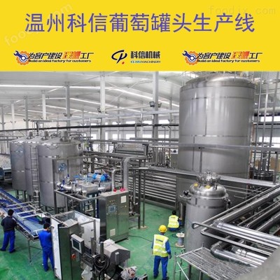 2025全自动葡萄罐头生产设备 厂家可定制