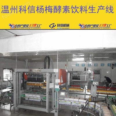 2025全自动中小型杨梅酵素饮料生产线