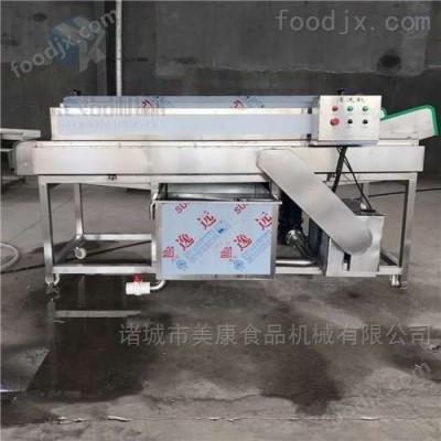 花生毛辊清洗机 长生果清洗设备