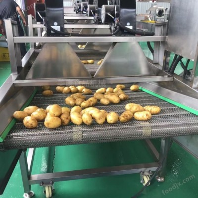 白菜清洗机气泡清洗设备生产