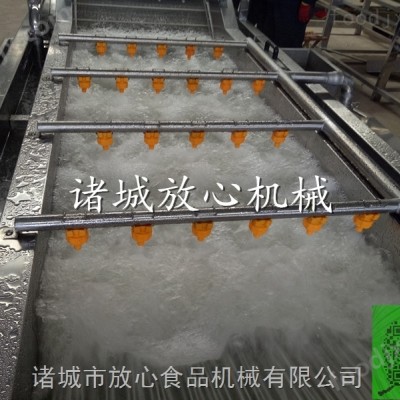 叶类蔬菜气泡清洗机 多功能蔬菜气泡清洗机