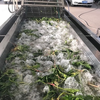 蔬菜气泡清洗机 净菜加工设备