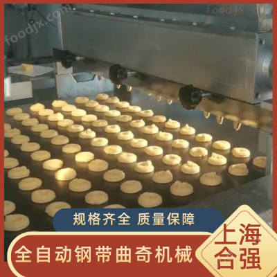 伺服钢带曲奇饼生产线（扭花/切割） 曲奇机