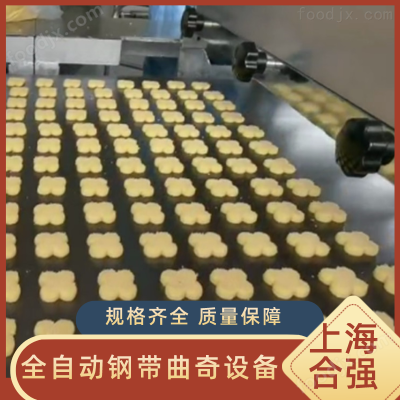 不锈钢线切割钢带曲奇饼干成套设备 饼干生产线