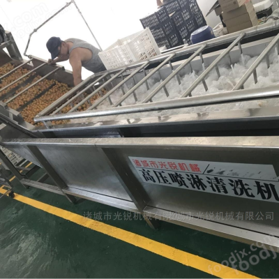 白菜净菜加工流水线