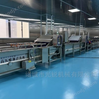净菜加工流水线设备价格