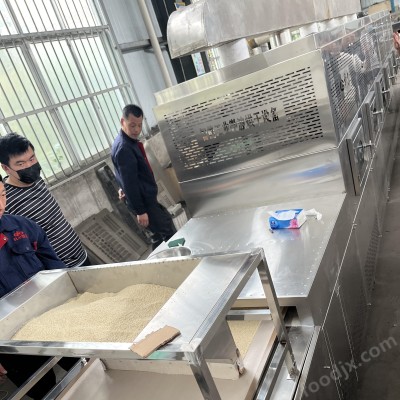 科尔大豆微波灭活设备 微波杀虫卵设备