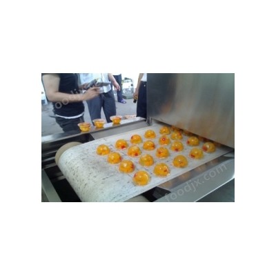 果冻微波杀菌设备