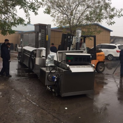 小型全自动油炸机供应商 全自动油炸流水线