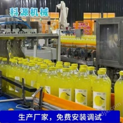 原果饮料汁灌装生产线 全自动饮料设备 柚子汁灌装机械