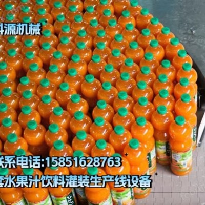 小型蓝莓果汁加工设备 整套李子果酒灌装生产线