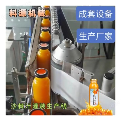果汁饮料灌装机 沙棘汁灌装设备 瓶装饮料灌装流水线