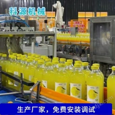 玻璃瓶 塑料瓶双柚汁饮料成套包装机械 全自动果汁饮料灌装生产线