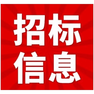 东南大学 - 竞价公告（CB102862025000216）