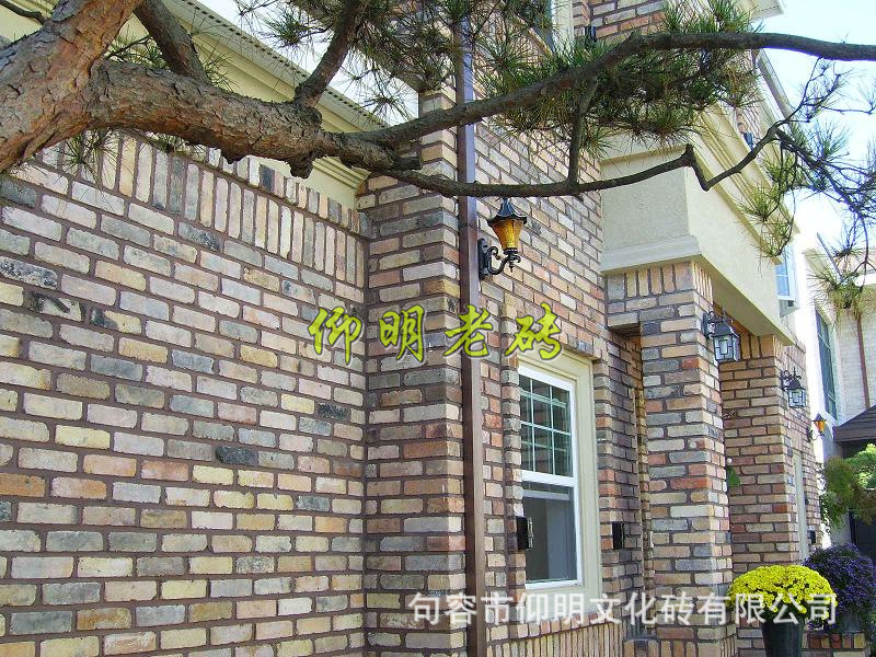 仰明老砖9