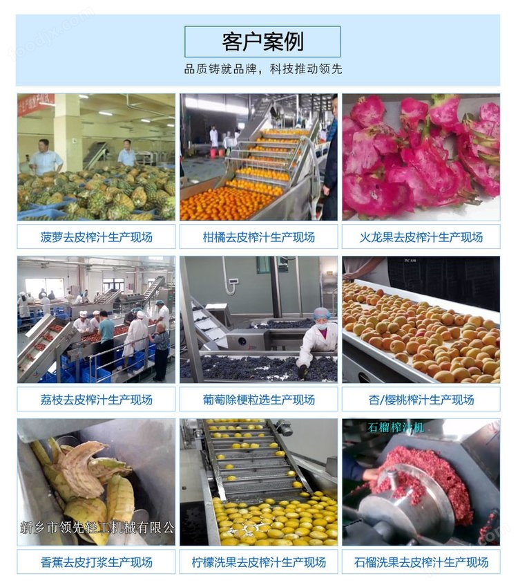 全自动百香果取浆机  去皮设备