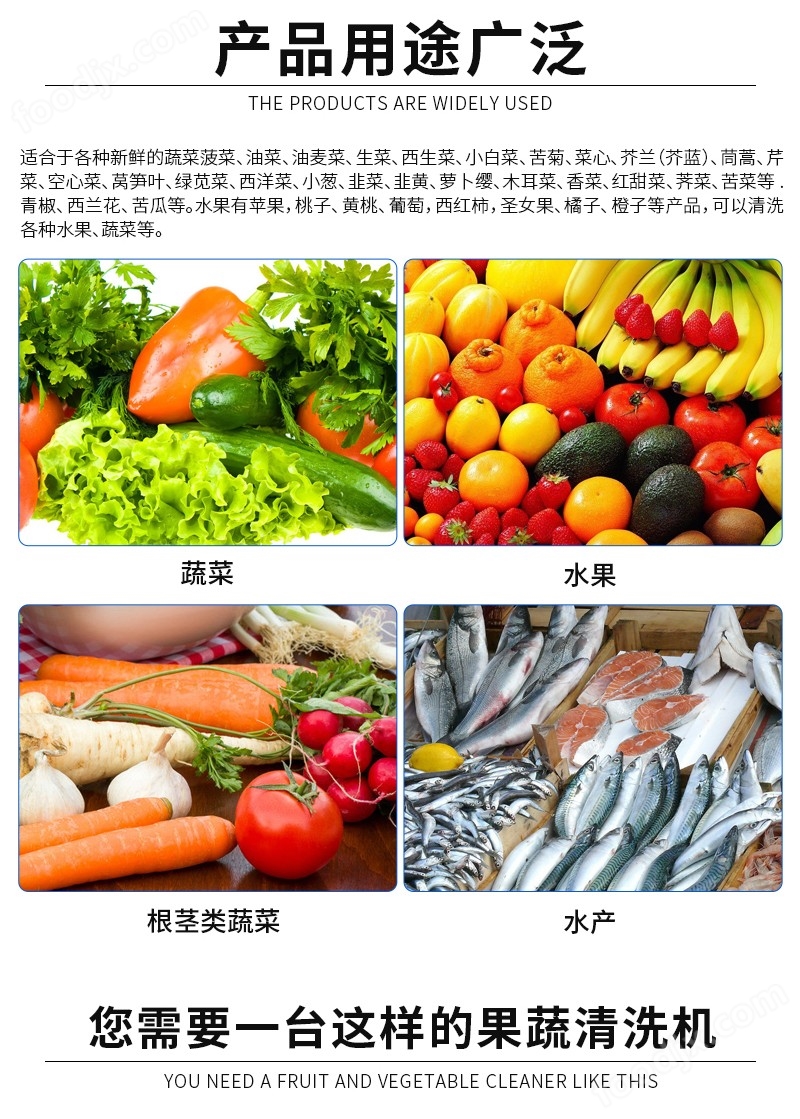 鱼片清洗机