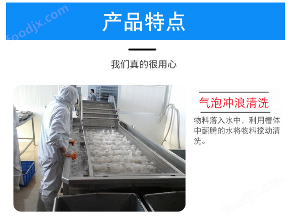 鱼片清洗机
