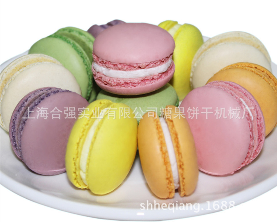 马卡龙样品