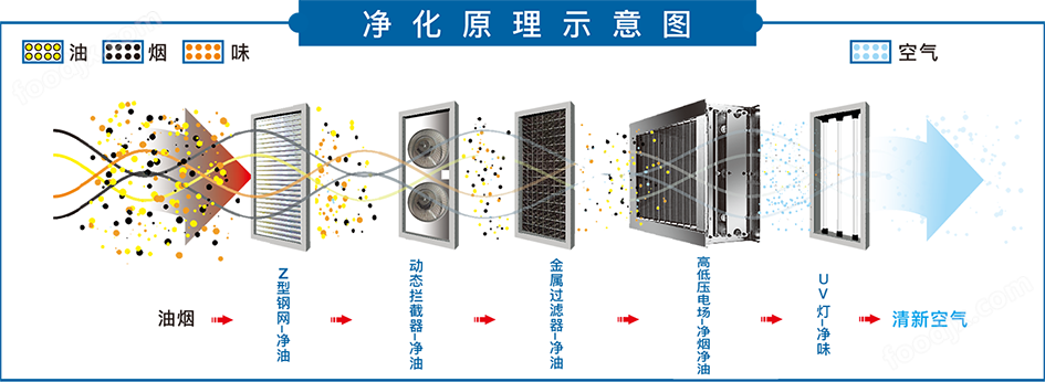 13光蓝 净化原理示意图+.png